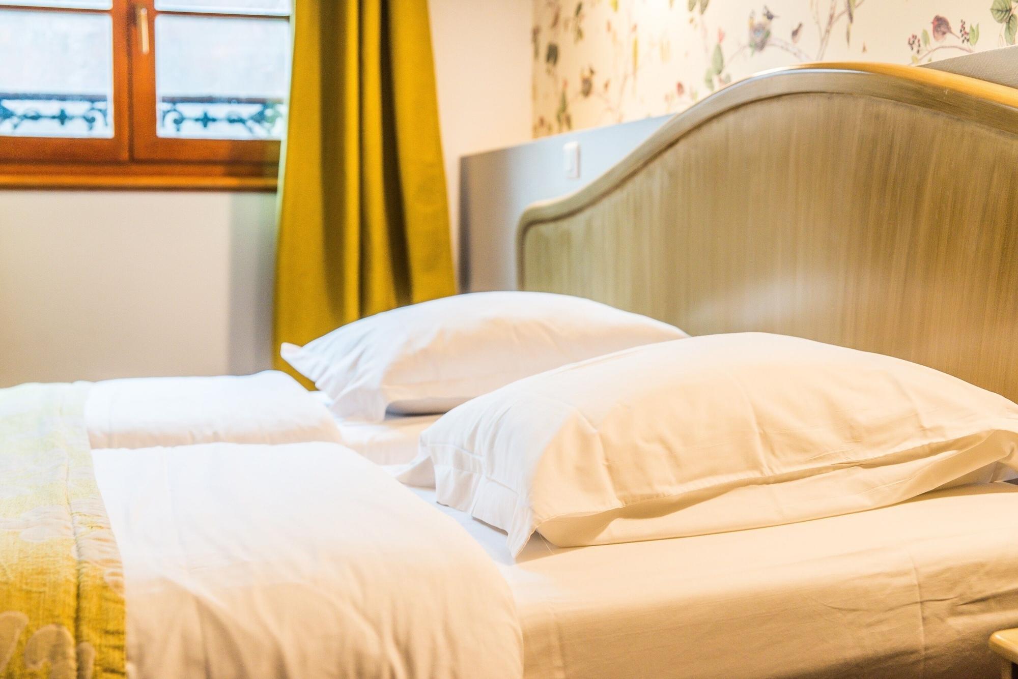 Hotel Au Lion Ribeauvillé Dış mekan fotoğraf